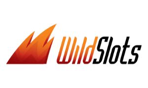 wild slots casino logo